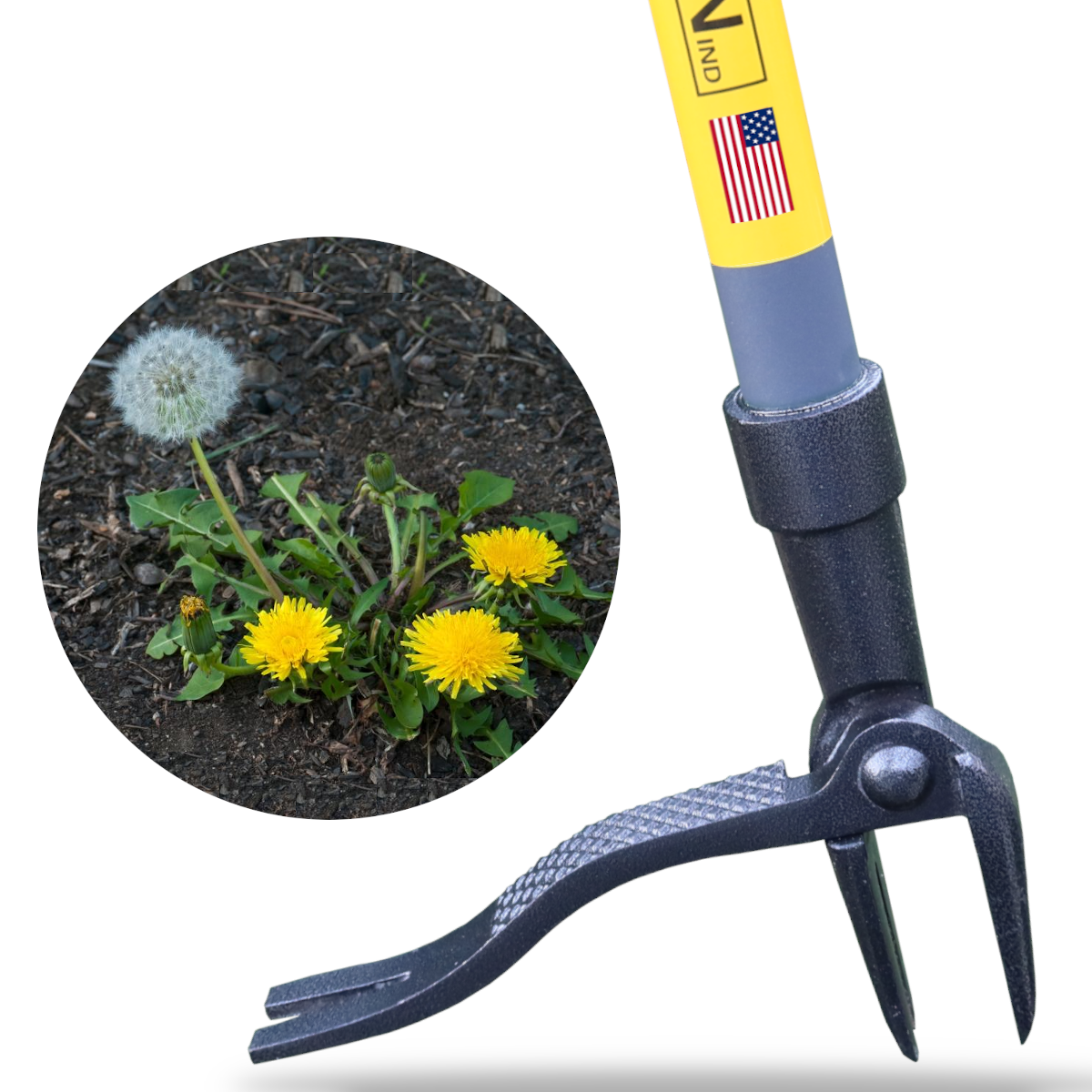 Rocklin Stand-Up Weed Puller